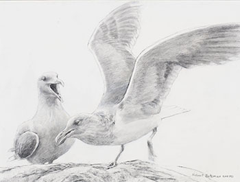 Seagulls by Robert Bateman