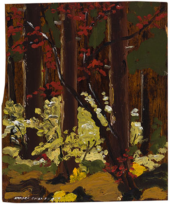 Forest Bloom near Ottawa par Horace Champagne