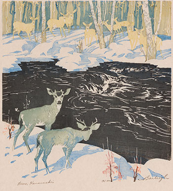 Deer, Kananaskis by Barbara Harvey Leighton