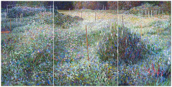 Allotment Gardens, High Park by Brent McIntosh