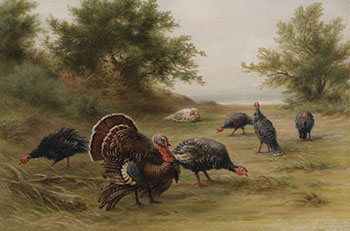 Wild Turkeys, Point Peele, Lake Erie by Frederick Arthur Verner