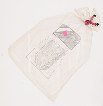 Still Life: Laminated Drawings of a Sponge Bottled in Plastic Twice #5 by Iain Baxter