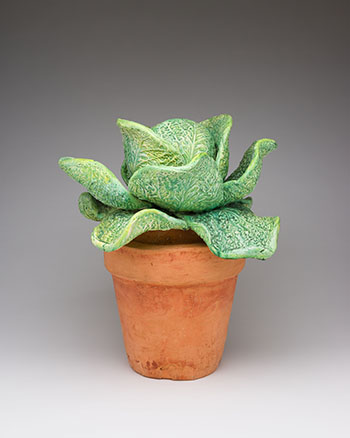 Cabbage in Pot