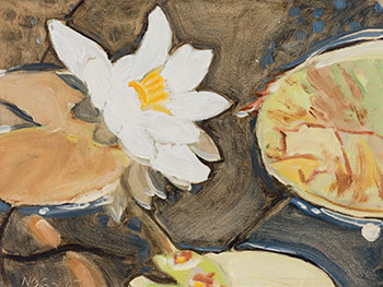 Water Lily