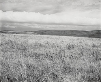 Two Photographs - Meadow, Last Sun and Prairie, Lincoln County, Minnesota par John Szarkowski