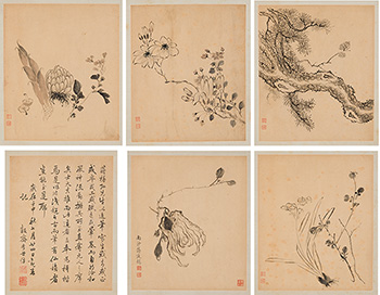 Flowers and Plants by Attributed to Jiang Tingxi