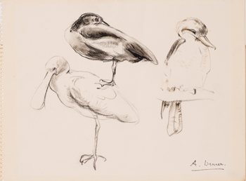 Vancouver Zoo by Arthur Lismer