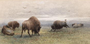 Buffalo, Morning, Spring Time par Frederick Arthur Verner