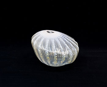 White Shell Shape par Dale Chihuly