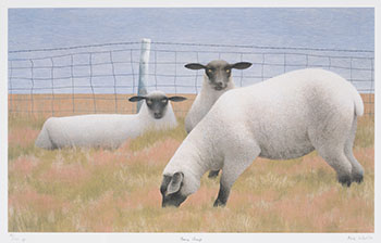 Three Sheep by Alexander Colville