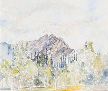 Mountain Series, Aspens by Dorothy Knowles