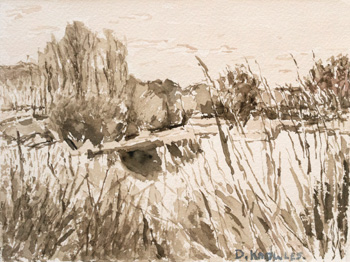 A Slough in Fall (WC-021-14) par Dorothy Knowles