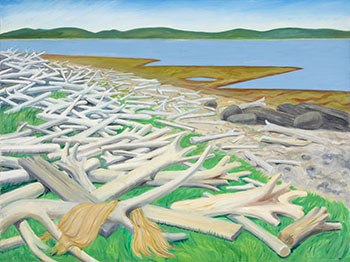 Driftwood Beach at Port au Choix (030712) par Doris Jean McCarthy