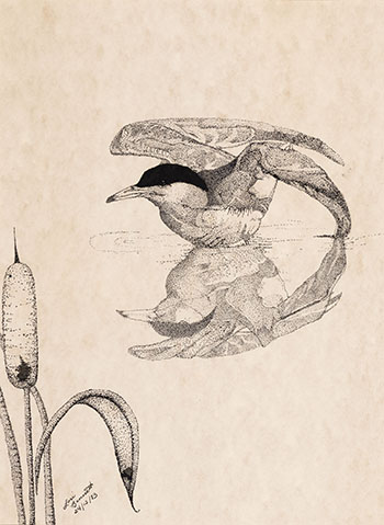 Bird on Water (#00129) by Lori Bennett