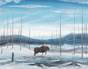 Moose in Burned Out Forest, Winter (#0098) by Carl Ray