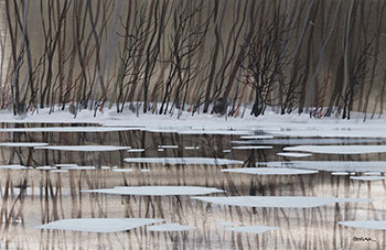 Reflections by Bruno Joseph Bobak