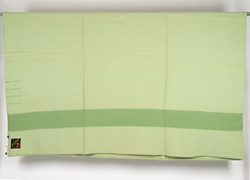 T. Eaton Company trapper point blanket, 4 point, light green by Hudson's Bay Company 