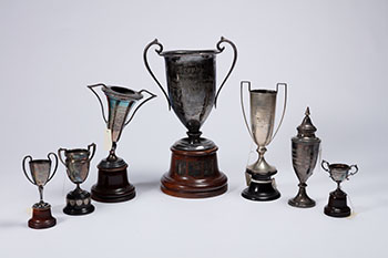 Don Fish Trophies (7 items) by Hudson's Bay Company 