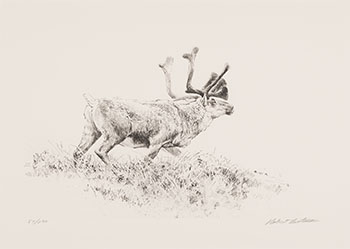 Woodland Caribou (00340) by Robert Bateman
