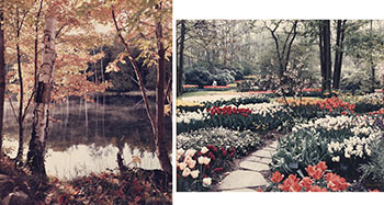 Misty Autumn Morning, Muskoka / Tulip Garden (00823 / 00824) by Norman Piluke