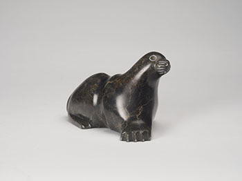 Seal (0788) by Samwillie Niviaxie