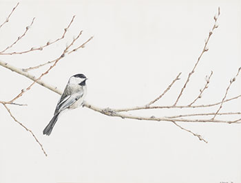 Black-capped Chickadee par Melinda Brewer