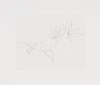 Untitled, Botanicals par Gordon Appelbe Smith