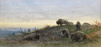 Buffalo by Frederick Arthur Verner