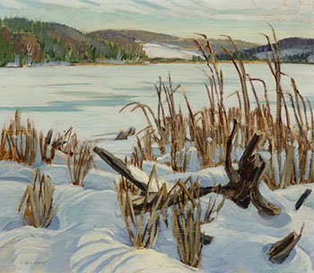 Bullrushes in Snow, Haliburton by Doris Jean McCarthy