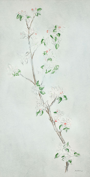 Apple Blossom by Louis Muhlstock