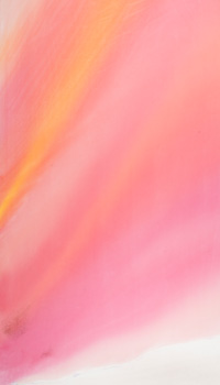 Joyful Pink par Kathleen Margaret Howitt Graham