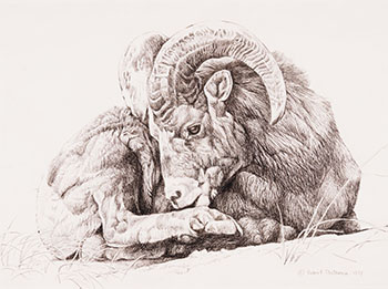 Ram by Robert Bateman
