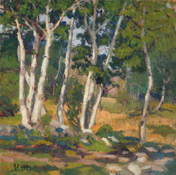 Birch Trees, Summer by Randolph Stanley Hewton