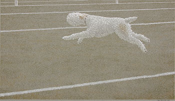 Running Dog by Alexander Colville