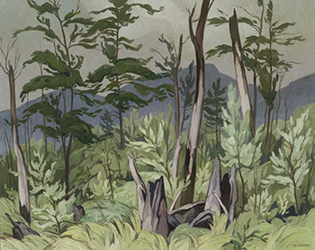 Woodland Tangle by Alfred Joseph (A.J.) Casson