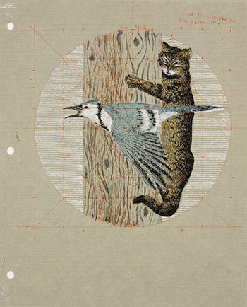 Study for Blue Jay and Cat par Alexander Colville