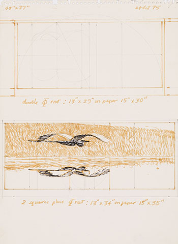 Study for Heron (AC00585) par Alexander Colville