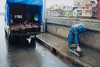 Snail Seller by Stephen Waddell