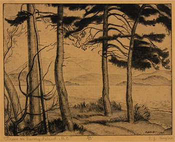 Trees on Savary Island by Edward John (E.J.) Hughes