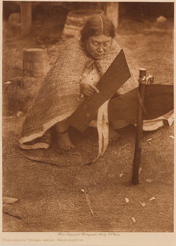 Preparing Cedar-Bark - Nakoaktok by Edward Sherriff Curtis