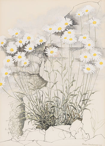 Daisies by Grant Kenneth Macdonald