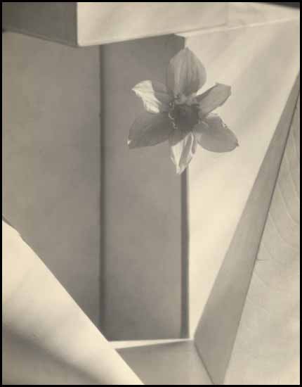 Spring Vanderpant, John