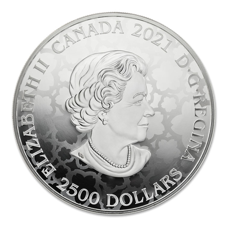 The Ultimate / Pièce Summum par Royal Canadian Mint - Monnaie royale canadienne