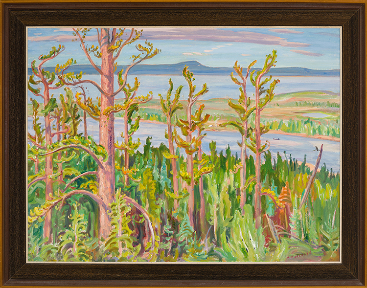 Jack Pine by Alexander Young (A.Y.) Jackson
