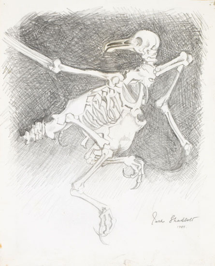 Bird Skeleton par Jack Leonard Shadbolt