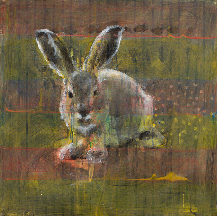 Animal Painting #130 (Arctic Hare) by Les Thomas