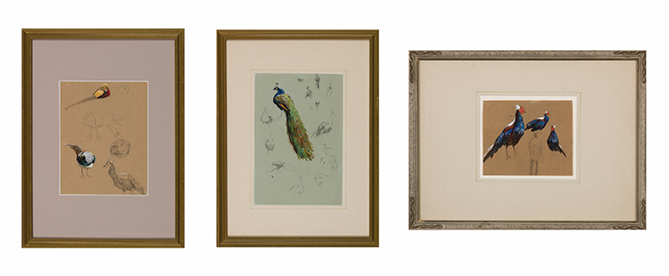 Three Bird Sketches by Horatio Walker