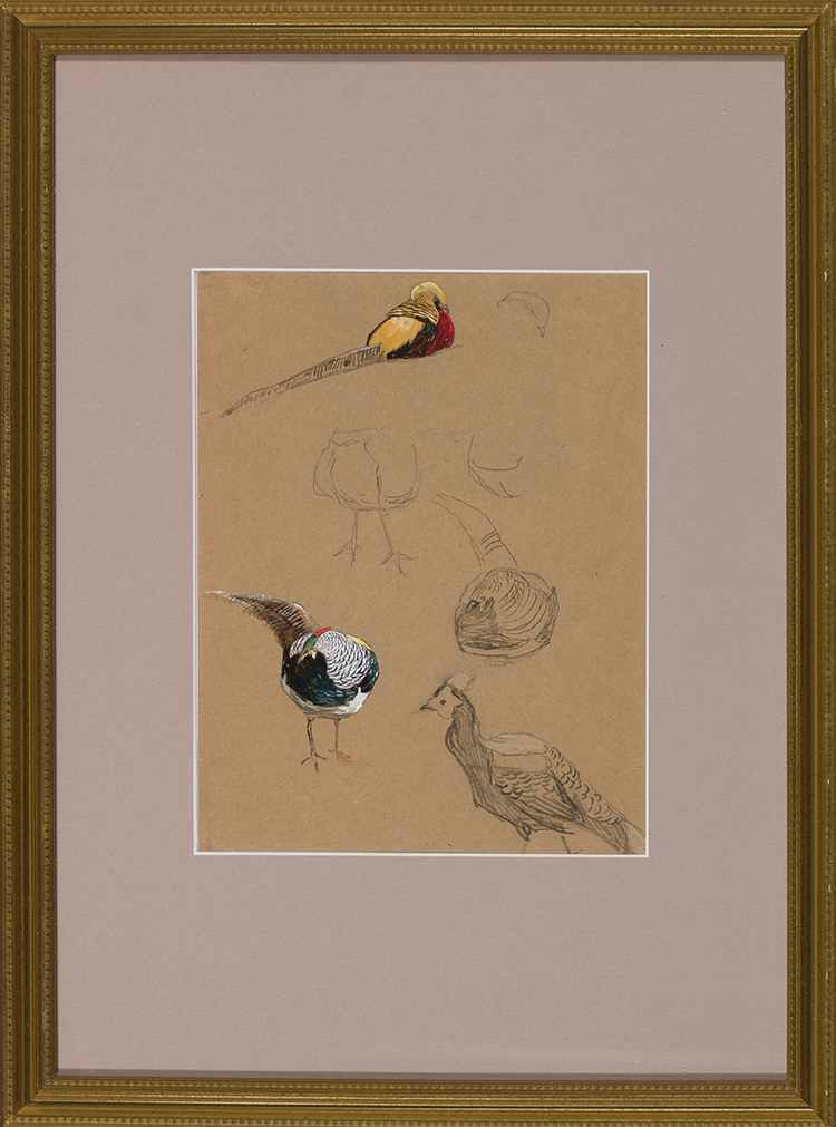 Three Bird Sketches by Horatio Walker
