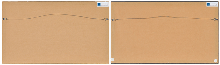 Two Fan Paintings, Qing Dynasty by  Chinese School