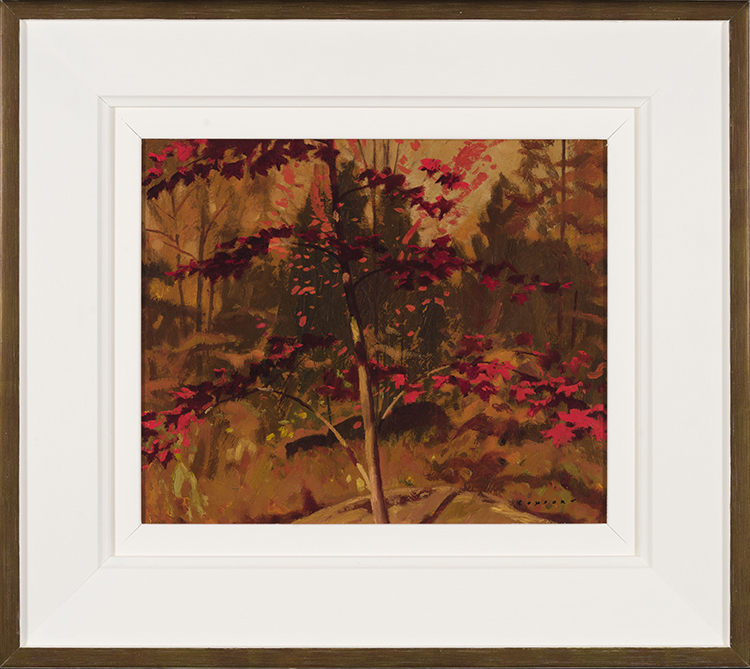 Autumn Woods, Haliburton by Charles Fraser Comfort